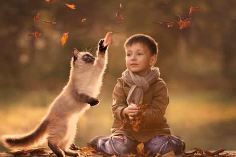 Kinderfotografie von Elena Shumilova 13